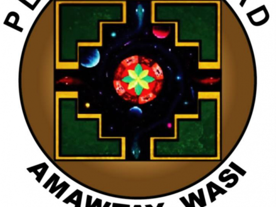 Logo for Pluriversidad Amawtay Wasi