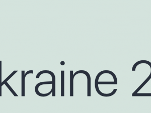 Title of the article Ukraine 2014 in a seafoam green background and dark grey letters